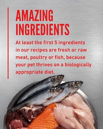 high protein dog food orijen six fish ingredients